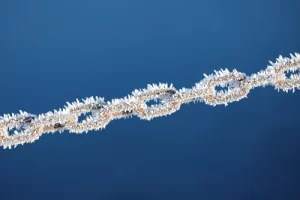 chain-6881337_1280